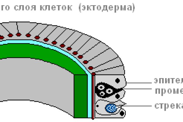 Кракен даркнет актуальная ссылка