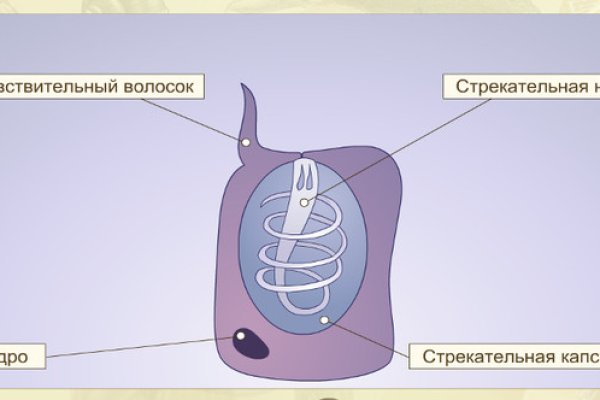 Кракен маркетплейс 2025