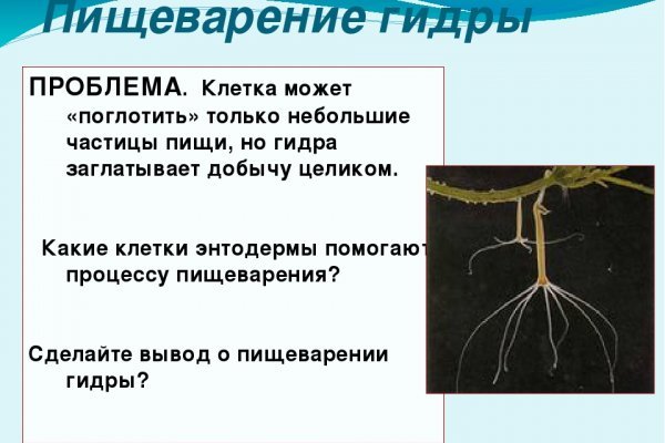 Ссылка на кракен 2krnmarket