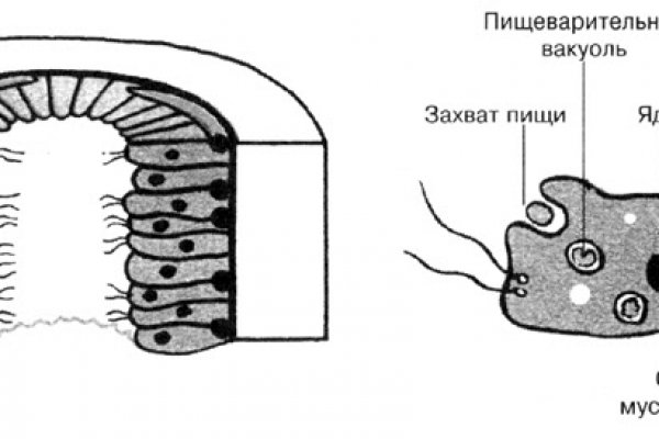 Кракен плейс