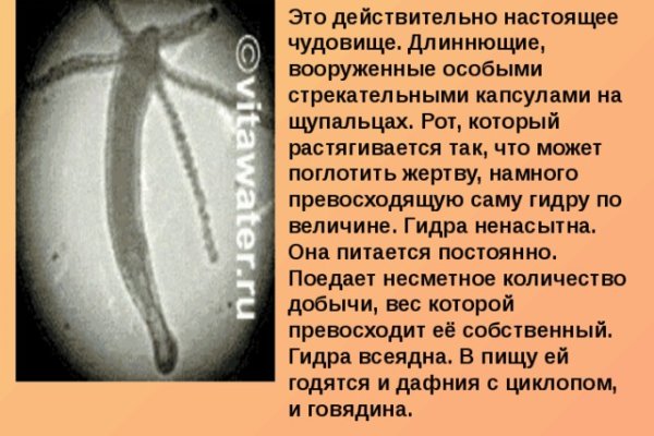 Кракен сайт kr2web in