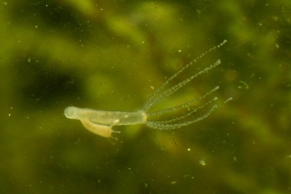 Kra28.cc